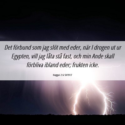 Picture 06 - Haggai 2:6 SV1917 - Det förbund som jag slöt med eder, när I - Bible Verse Picture