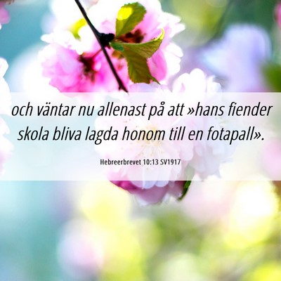 Picture 06 - Hebreerbrevet 10:13 SV1917 - och väntar nu allenast på att »hans fiender - Bible Verse Picture