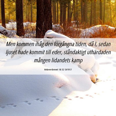 Picture 06 - Hebreerbrevet 10:32 SV1917 - Men kommen ihåg den förgångna tiden, då I, - Bible Verse Picture