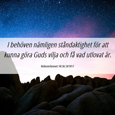 Picture 06 - Hebreerbrevet 10:36 SV1917 - I behöven nämligen ståndaktighet för att - Bible Verse Picture