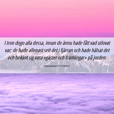 Picture 06 - Hebreerbrevet 11:13 SV1917 - I tron dogo alla dessa, innan de ännu hade fått - Bible Verse Picture