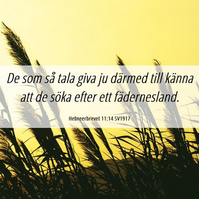 Picture 06 - Hebreerbrevet 11:14 SV1917 - De som så tala giva ju därmed till känna att - Bible Verse Picture