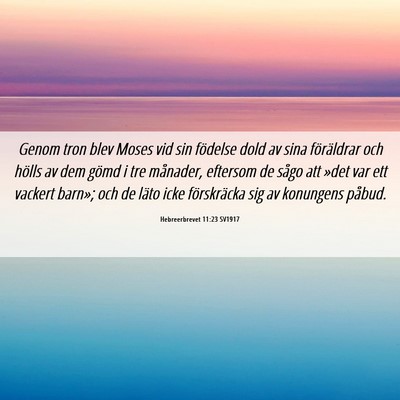 Picture 06 - Hebreerbrevet 11:23 SV1917 - Genom tron blev Moses vid sin födelse dold av - Bible Verse Picture
