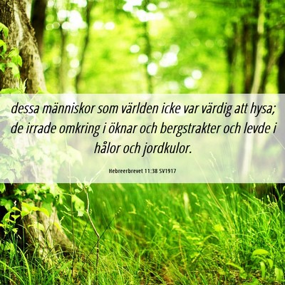 Picture 06 - Hebreerbrevet 11:38 SV1917 - dessa människor som världen icke var värdig - Bible Verse Picture