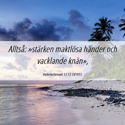 Picture 06 - Hebreerbrevet 12:12 SV1917 - Alltså: »stärken maktlösa händer och - Bible Verse Picture