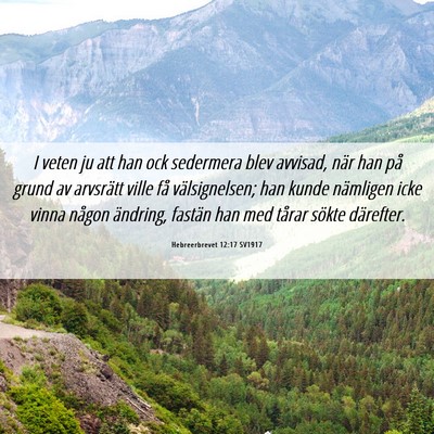 Picture 06 - Hebreerbrevet 12:17 SV1917 - I veten ju att han ock sedermera blev avvisad, - Bible Verse Picture