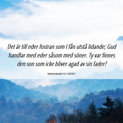 Picture 06 - Hebreerbrevet 12:7 SV1917 - Det är till eder fostran som I fån utstå - Bible Verse Picture