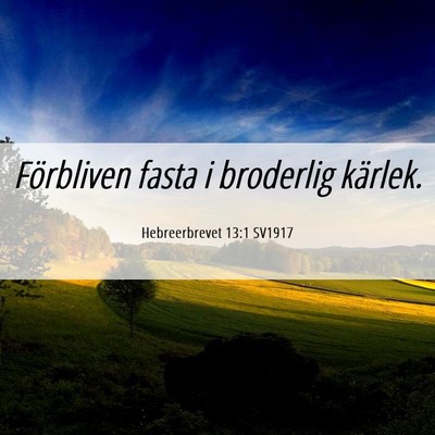 Picture 06 - Hebreerbrevet 13:1 SV1917 - Förbliven fasta i broderlig - Bible Verse Picture
