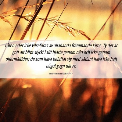 Picture 06 - Hebreerbrevet 13:9 SV1917 - Låten eder icke vilseföras av allahanda - Bible Verse Picture