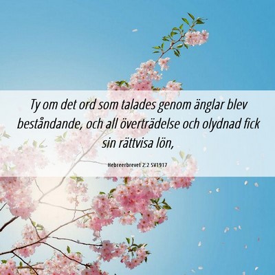 Picture 06 - Hebreerbrevet 2:2 SV1917 - Ty om det ord som talades genom änglar blev - Bible Verse Picture