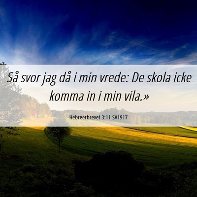 Picture 06 - Hebreerbrevet 3:11 SV1917 - Så svor jag då i min vrede: De skola icke komma - Bible Verse Picture