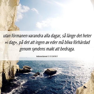 Picture 06 - Hebreerbrevet 3:13 SV1917 - utan förmanen varandra alla dagar, så länge - Bible Verse Picture