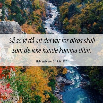 Picture 06 - Hebreerbrevet 3:19 SV1917 - Så se vi då att det var för otros skull som de - Bible Verse Picture