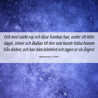 Picture 06 - Hebreerbrevet 5:7 SV1917 - Och med starkt rop och tårar frambar han, under - Bible Verse Picture