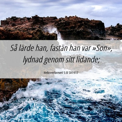 Picture 06 - Hebreerbrevet 5:8 SV1917 - Så lärde han, fastän han var »Son», lydnad - Bible Verse Picture