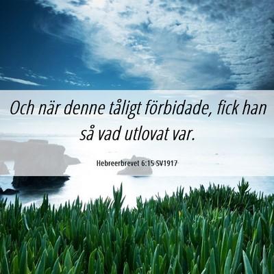 Picture 06 - Hebreerbrevet 6:15 SV1917 - Och när denne tåligt förbidade, fick han så - Bible Verse Picture