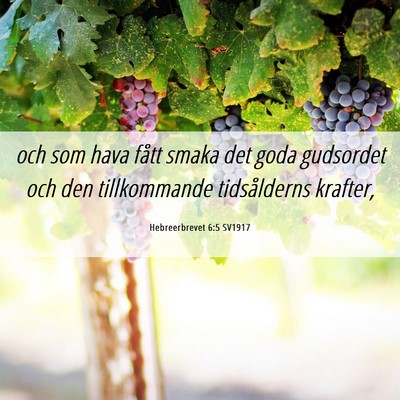 Picture 06 - Hebreerbrevet 6:5 SV1917 - och som hava fått smaka det goda gudsordet och - Bible Verse Picture