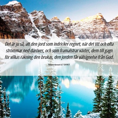Picture 06 - Hebreerbrevet 6:7 SV1917 - Det är ju så, att den jord som indricker - Bible Verse Picture