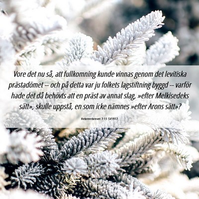 Picture 06 - Hebreerbrevet 7:11 SV1917 - Vore det nu så, att fullkomning kunde vinnas - Bible Verse Picture