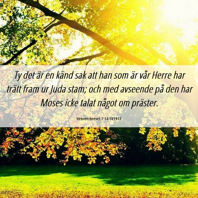 Picture 06 - Hebreerbrevet 7:14 SV1917 - Ty det är en känd sak att han som är vår - Bible Verse Picture
