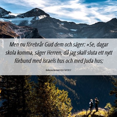 Picture 06 - Hebreerbrevet 8:8 SV1917 - Men nu förebrår Gud dem och säger: »Se, dagar - Bible Verse Picture