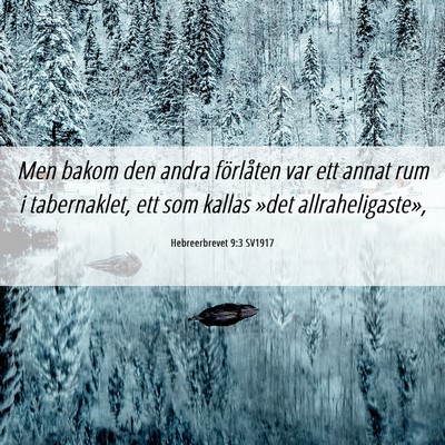 Picture 06 - Hebreerbrevet 9:3 SV1917 - Men bakom den andra förlåten var ett annat rum - Bible Verse Picture