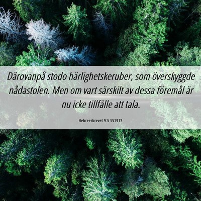 Picture 06 - Hebreerbrevet 9:5 SV1917 - Därovanpå stodo härlighetskeruber, som - Bible Verse Picture