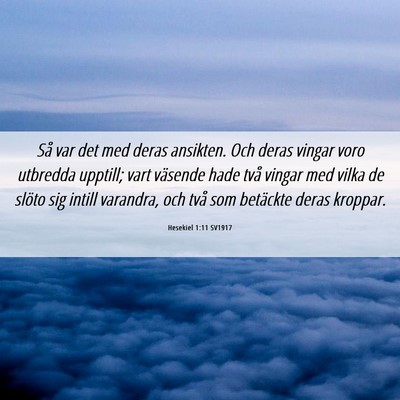 Picture 06 - Hesekiel 1:11 SV1917 - Så var det med deras ansikten. Och deras vingar - Bible Verse Picture