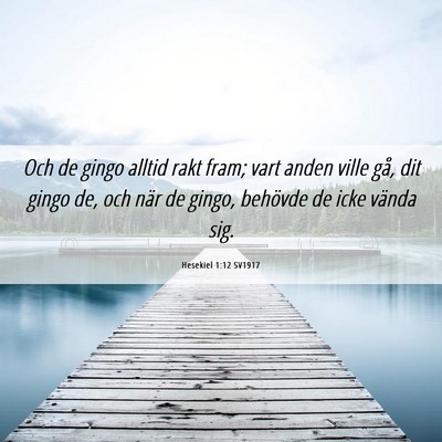Picture 06 - Hesekiel 1:12 SV1917 - Och de gingo alltid rakt fram; vart anden ville - Bible Verse Picture