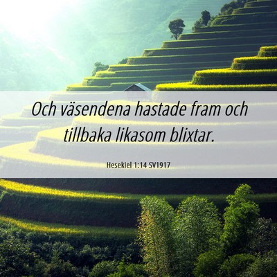 Picture 06 - Hesekiel 1:14 SV1917 - Och väsendena hastade fram och tillbaka likasom - Bible Verse Picture