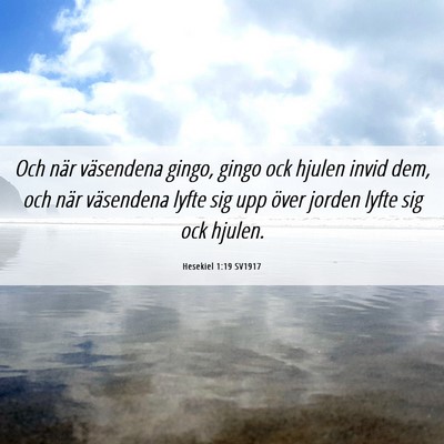 Picture 06 - Hesekiel 1:19 SV1917 - Och när väsendena gingo, gingo ock hjulen invid - Bible Verse Picture