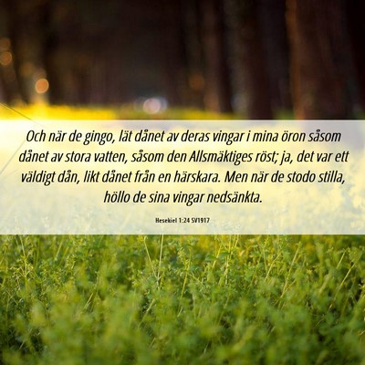 Picture 06 - Hesekiel 1:24 SV1917 - Och när de gingo, lät dånet av deras vingar i - Bible Verse Picture