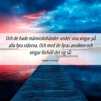 Picture 06 - Hesekiel 1:8 SV1917 - Och de hade människohänder under sina vingar - Bible Verse Picture