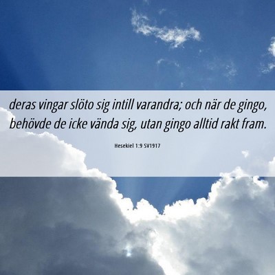 Picture 06 - Hesekiel 1:9 SV1917 - deras vingar slöto sig intill varandra; och när - Bible Verse Picture