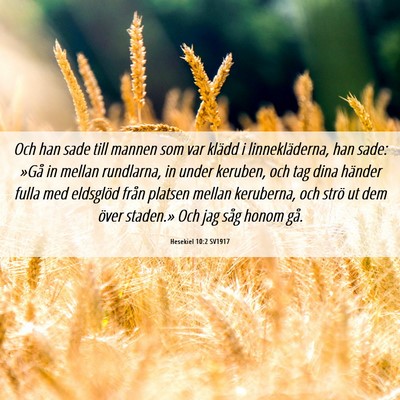 Picture 06 - Hesekiel 10:2 SV1917 - Och han sade till mannen som var klädd i - Bible Verse Picture