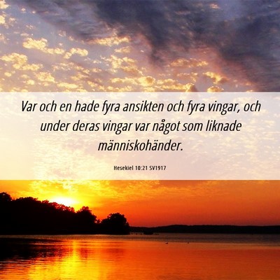 Picture 06 - Hesekiel 10:21 SV1917 - Var och en hade fyra ansikten och fyra vingar, - Bible Verse Picture