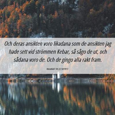 Picture 06 - Hesekiel 10:22 SV1917 - Och deras ansikten voro likadana som de ansikten - Bible Verse Picture