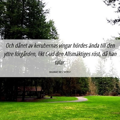 Picture 06 - Hesekiel 10:5 SV1917 - Och dånet av kerubernas vingar hördes ända - Bible Verse Picture
