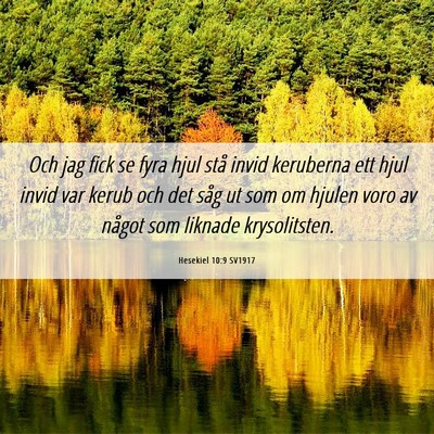 Picture 06 - Hesekiel 10:9 SV1917 - Och jag fick se fyra hjul stå invid keruberna - Bible Verse Picture