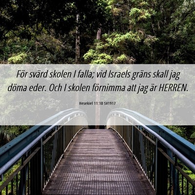 Picture 06 - Hesekiel 11:10 SV1917 - För svärd skolen I falla; vid Israels gräns - Bible Verse Picture