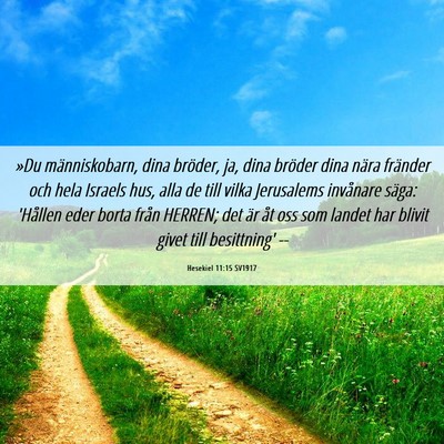 Picture 06 - Hesekiel 11:15 SV1917 - »Du människobarn, dina bröder, ja, dina - Bible Verse Picture
