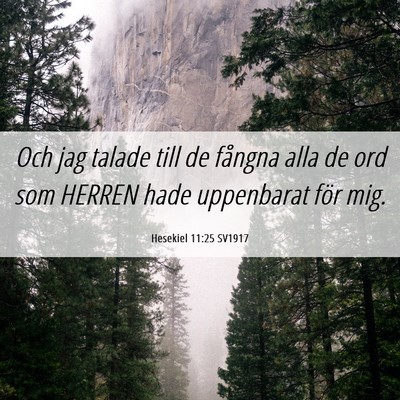 Picture 06 - Hesekiel 11:25 SV1917 - Och jag talade till de fångna alla de ord som - Bible Verse Picture