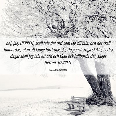 Picture 06 - Hesekiel 12:25 SV1917 - nej, jag, HERREN, skall tala det ord som jag vill - Bible Verse Picture