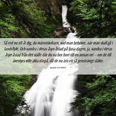 Picture 06 - Hesekiel 12:3 SV1917 - Så red nu till åt dig, du människobarn, vad - Bible Verse Picture