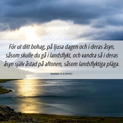 Picture 06 - Hesekiel 12:4 SV1917 - För ut ditt bohag, på ljusa dagen och i deras - Bible Verse Picture