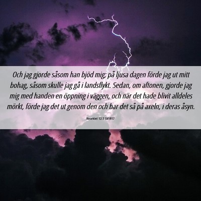 Picture 06 - Hesekiel 12:7 SV1917 - Och jag gjorde såsom han bjöd mig; på ljusa - Bible Verse Picture