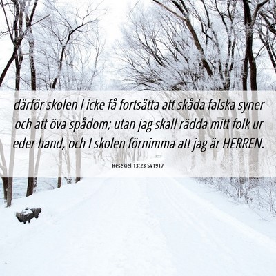 Picture 06 - Hesekiel 13:23 SV1917 - därför skolen I icke få fortsätta att skåda - Bible Verse Picture