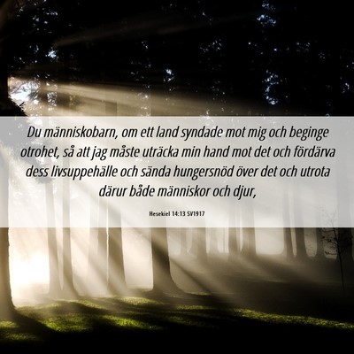 Picture 06 - Hesekiel 14:13 SV1917 - Du människobarn, om ett land syndade mot mig och - Bible Verse Picture