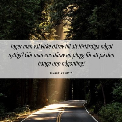 Picture 06 - Hesekiel 15:3 SV1917 - Tager man väl virke därav till att förfärdiga - Bible Verse Picture