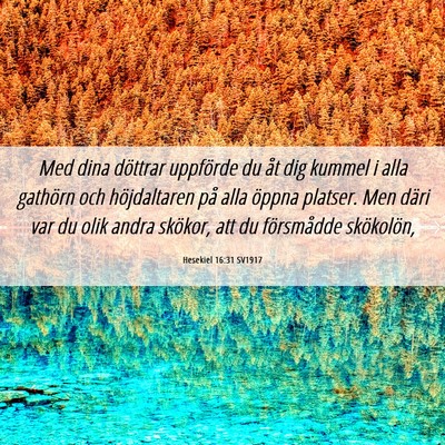 Picture 06 - Hesekiel 16:31 SV1917 - Med dina döttrar uppförde du åt dig kummel i - Bible Verse Picture